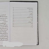 مظلومیت امام علی علیہ السلام  (اردو ترجمہ) - تاليف:   ڈاکٹر تیجانی سماوی  (Mazloomiyt Imam Ali a.s.)