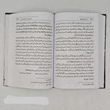 مظلومیت امام علی علیہ السلام  (اردو ترجمہ) - تاليف:   ڈاکٹر تیجانی سماوی  (Mazloomiyt Imam Ali a.s.)